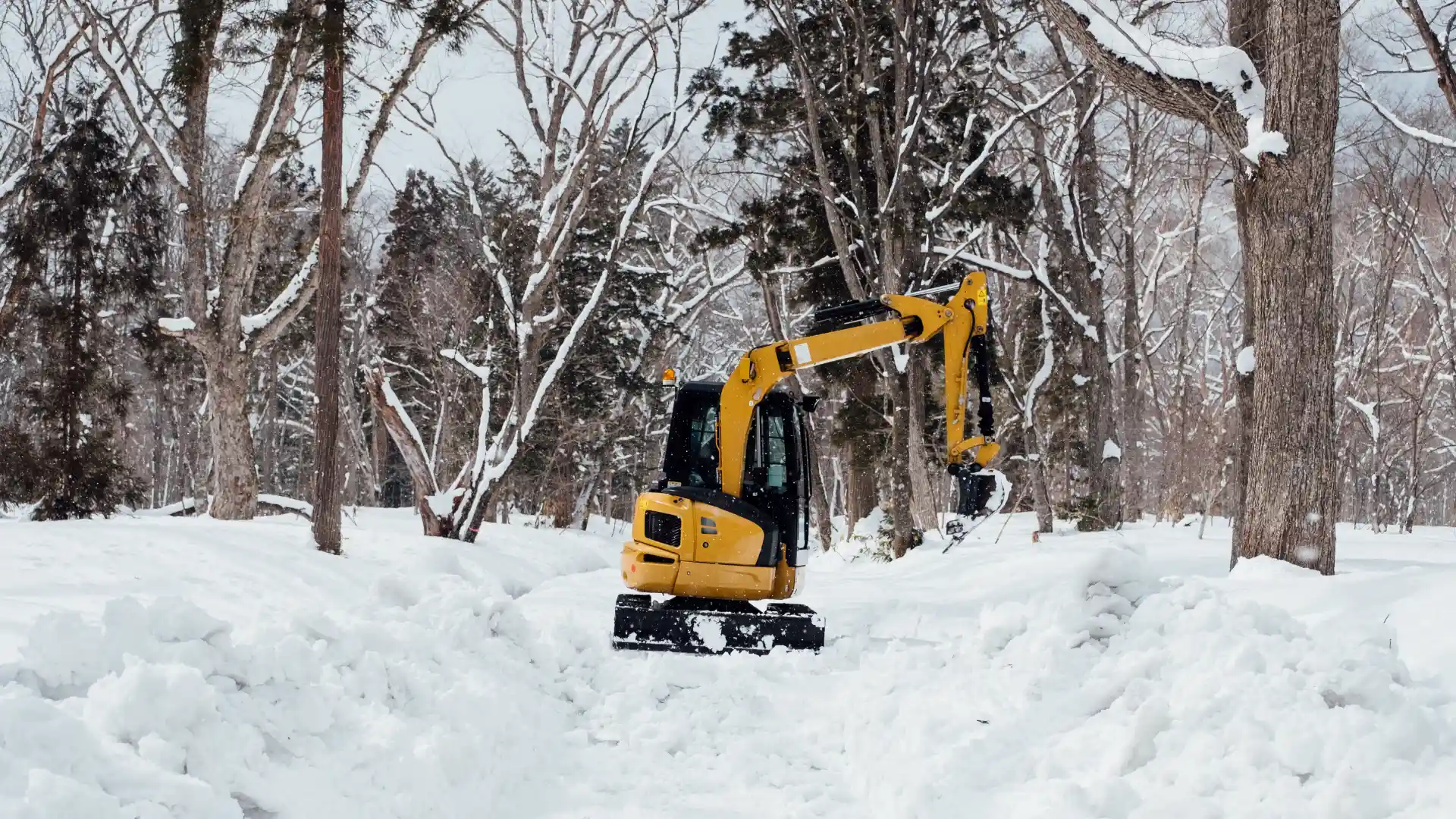 Snow Removal